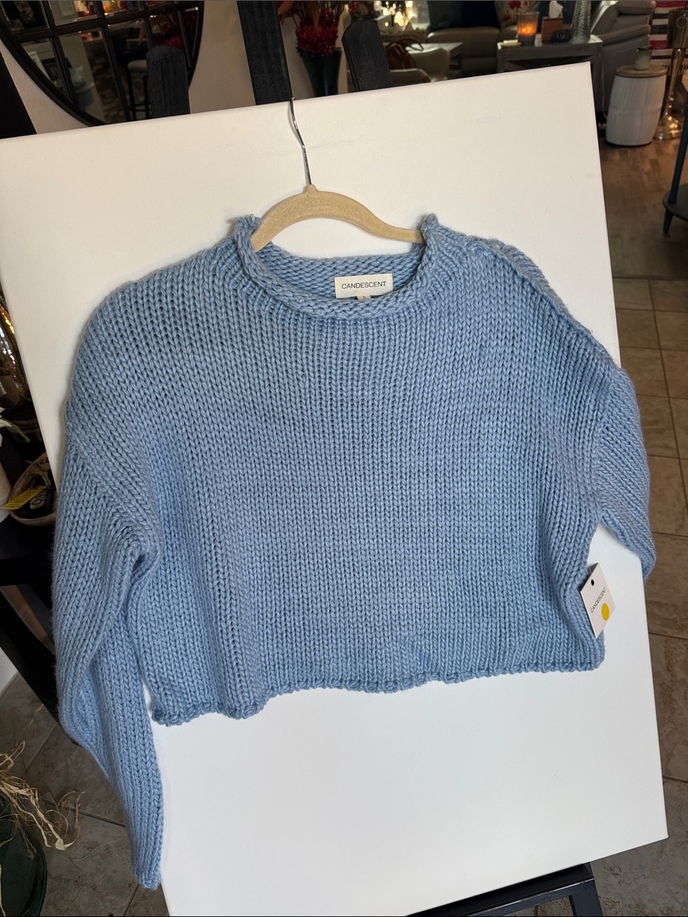 Candescent Cropped Crewneck Sweater in Light Blue NWT